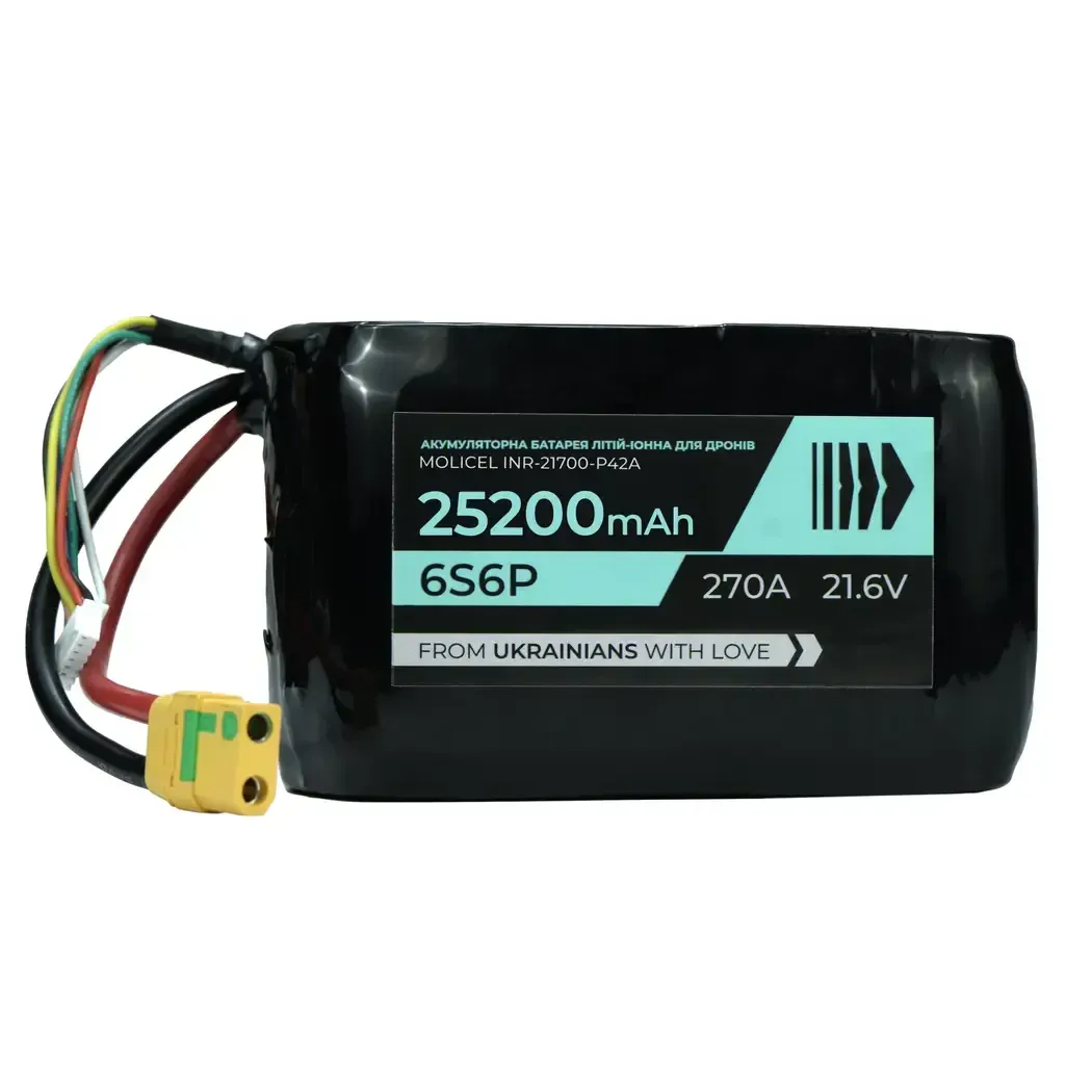 BTRY 25200 6s6p Molicel